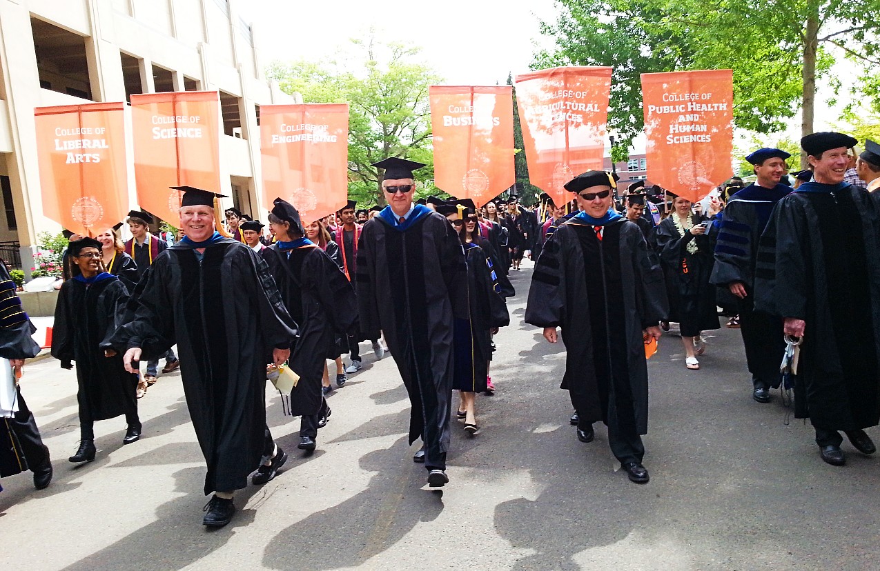 image of faculty marshals leading processional at commencement