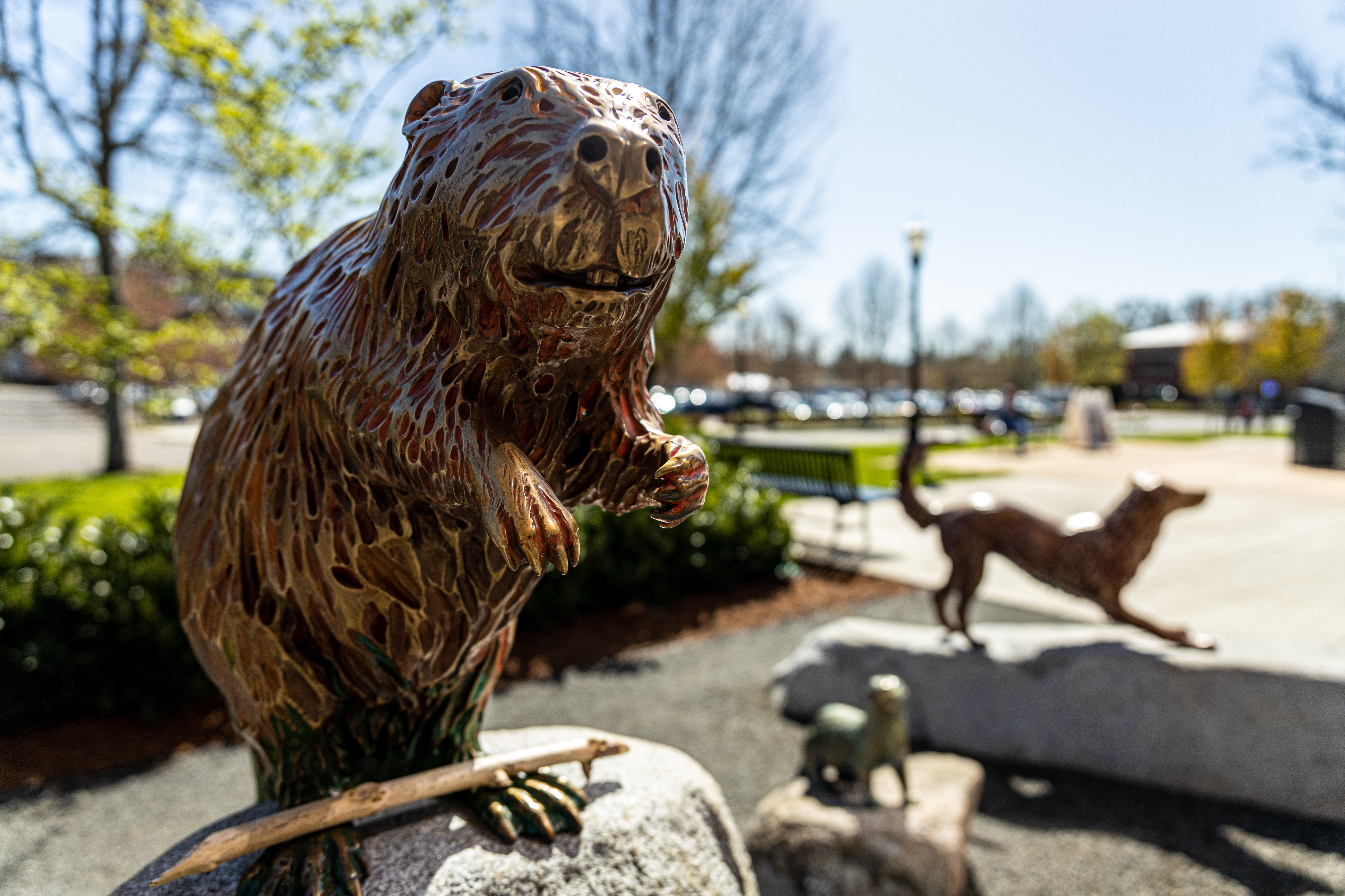 Bronze beaver sculpture