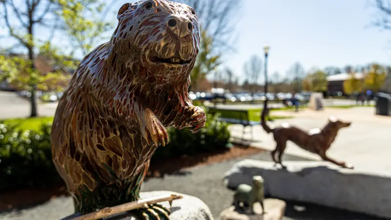 Bronze beaver sculpture