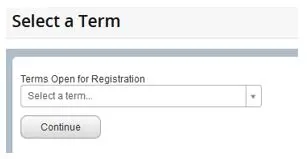 Box to select registration term