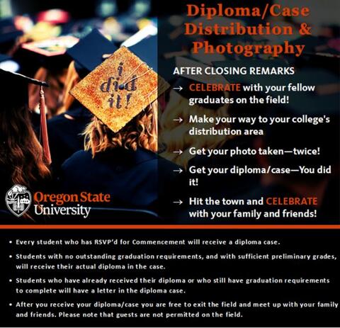 graduates seated with one graduate wearing a decorated mortar board that is orange with the words “I did it!”