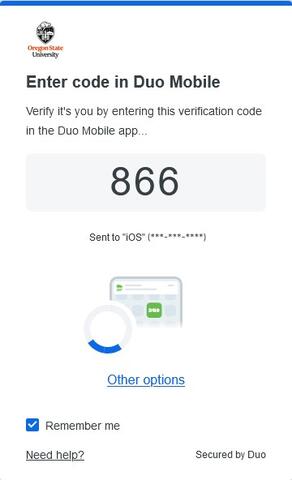 What will display on your browser when you sign in