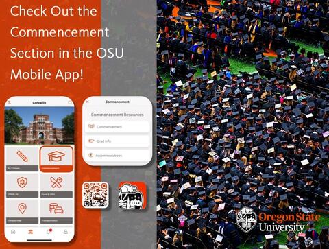 An overhead view of graduates seated together at Commencement